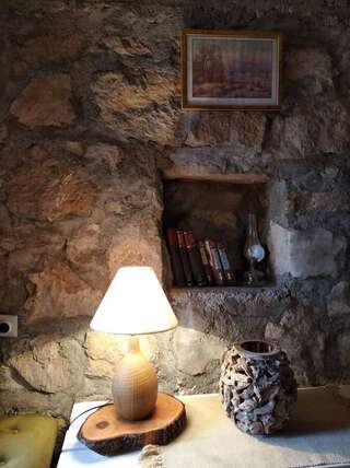 Дома для отпуска Stara kuća Mihailo Цетине Дом с 2 спальнями-10