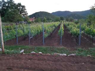 Дома для отпуска Stara kuća Mihailo Цетине Дом с 2 спальнями-65