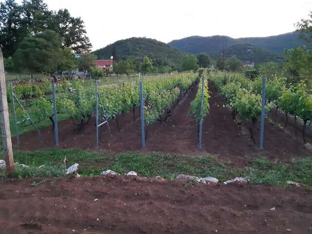 Дома для отпуска Stara kuća Mihailo Цетине-74